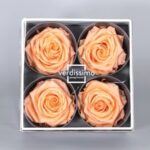 Rosas Preservadas en Estuche