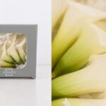 Flores Sueltas Preservadas